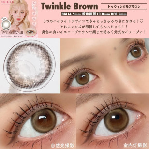 MOLAK 1day Twinkle Brown モラク ワンデー トゥインクルブラウン